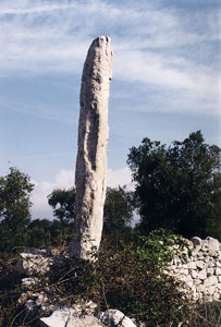 Menhir, o pietrafitta, nella campagna melpignanese